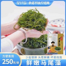 星仔岛 马尾藻头茬嫩菜500g
