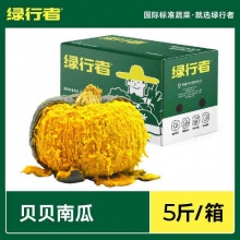   绿行者 贝贝南瓜5斤 