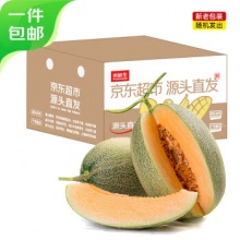 京鲜生 甘肃西州蜜哈密瓜 净重4.5-5斤