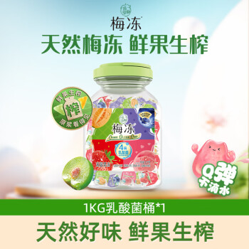 溜溜梅  1000g乳酸菌冻冻桶 