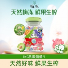 溜溜梅  1000g乳酸菌冻冻桶 