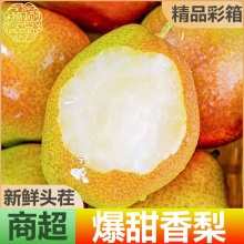 红香酥香梨4.5斤