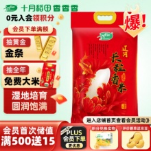 十月稻田 辽河长粒香大米 5kg 