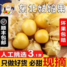 甜姥爷家 东北姑娘果3斤大果