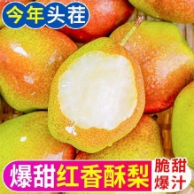 御园一品   红香酥梨 彩箱净重8.8斤