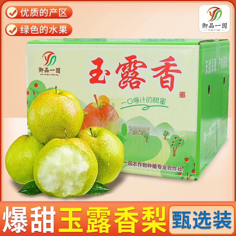 御园一品 山西玉露香梨净重5斤