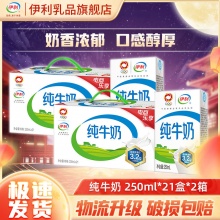 伊利 纯牛奶250ml*21盒*2箱