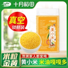 十月稻田 黄小米5斤