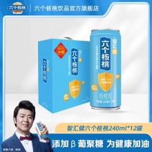 六个核桃 智汇健核桃乳240ml*12罐