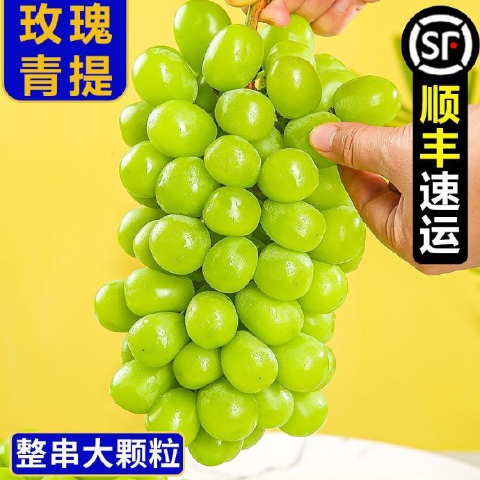 御园一品 阳光玫瑰葡萄 净重5斤彩箱