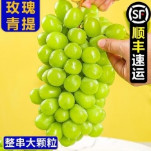 御园一品 阳光玫瑰葡萄 净重5斤彩箱