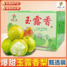 御园一品 山西玉露香梨净重5斤