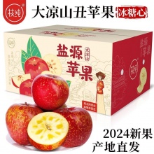 枝纯 大凉山丑苹果冰糖心苹果5斤