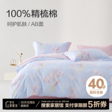 博洋家纺 100%纯棉四件套床笠款1.8m