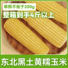 新主良 黄糯玉米棒10支