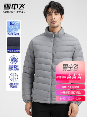雪中飞 男士立领羽绒服