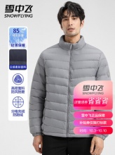 雪中飞 男士立领羽绒服