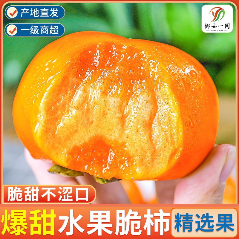 御品一园 脆柿子巧克力甜柿净重3斤