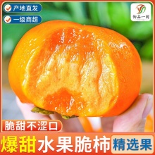 御品一园 脆柿子巧克力甜柿净重3斤
