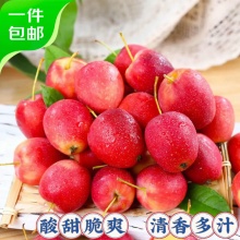 京鲜生 新疆香妃海棠果 净重3斤