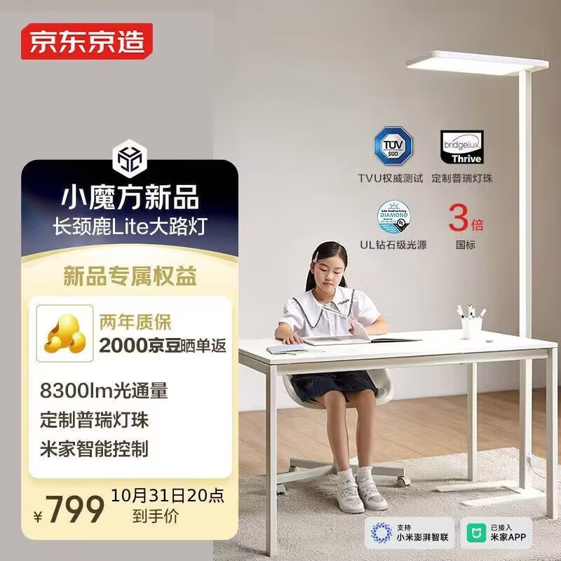20点 某东大路灯学习灯