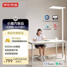 20点 某东大路灯学习灯