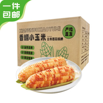 京百味 云南香糯小玉米净重2kg