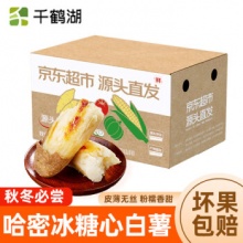 京地达 河南冰糖心蜜薯，净含量4.5斤单果150-450克