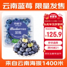 京鲜生 云南蓝莓 12盒装 约125g/盒 果径18mm+