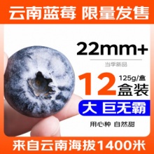 京鲜生 云南蓝莓巨无霸 22mm+ 12盒装 125g/盒