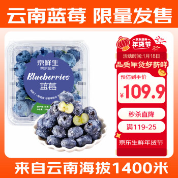 京鲜生 云南蓝莓 12盒装 约125g/盒 果径18mm+