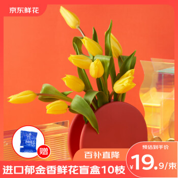 京东鲜花 水培郁金香鲜花10支