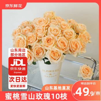 京东鲜花 蜜桃雪山玫瑰花10枝