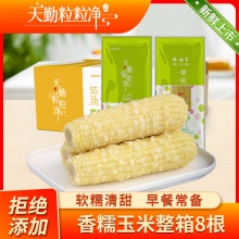 天勤粒粒 净小香糯玉米棒200g*8根