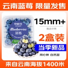 京鲜生 云南蓝莓 2盒装 125g/盒 15mm+