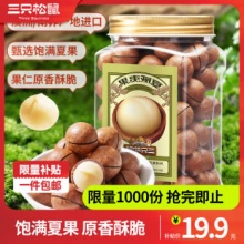 三只松鼠 夏威夷果500g