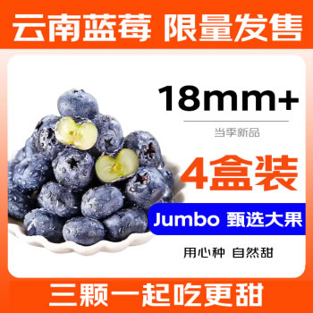 京鲜生  云南蓝莓 4盒装 125g/盒 果径18mm+