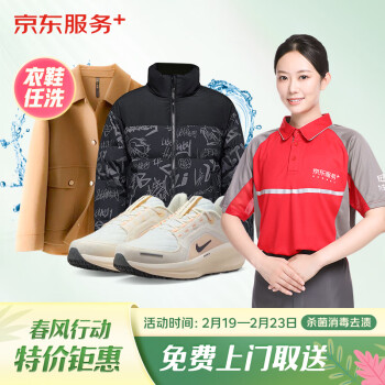 京东洗衣洗鞋服务 衣鞋任洗 6件