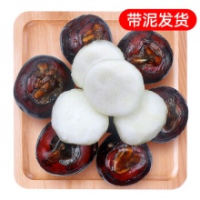 京鲜生广西荔浦马蹄 净重5斤装