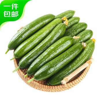 京鲜生 山东荷兰水果黄瓜净重5斤 单果100g起