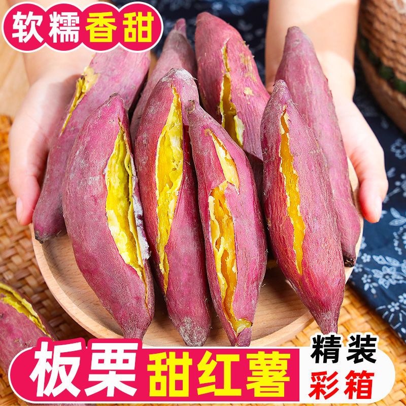 御品一园 山西板栗薯5斤单果150g起