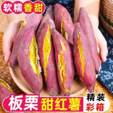 御品一园 山西板栗薯5斤单果150g起
