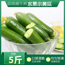 新鲜水果小黄瓜5.2斤