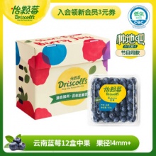 怡颗莓 当季云南蓝莓14mm+ 12盒 125g/盒
