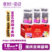 佳沃 云南当季蓝莓18mm+大果 6盒礼盒装 125g/盒