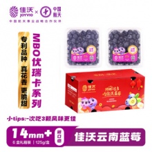 佳沃 云南当季蓝莓MBO系列 14mm+中果 125g*6盒礼盒装 