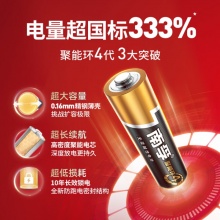 南孚 5号电池12粒