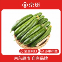 京觅 山东荷兰水果黄瓜 净重2kg装 单果约80g 