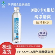 李子园 苏打水501ml*12瓶