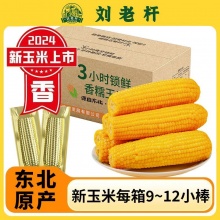 刘老杆 黄糯玉米小棒9-12棒共1760g